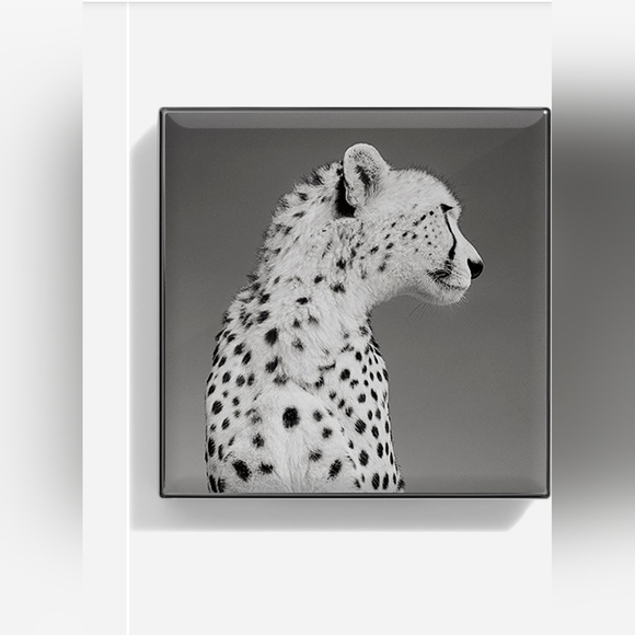 Chantecaille Feather Design Eyeshadow - Radiant Gold - Picture 3 of 7